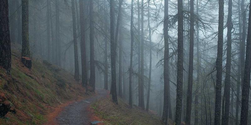 名人手稿与信札拍卖：古董鉴定、艺术投资与收藏品价值的三维透视