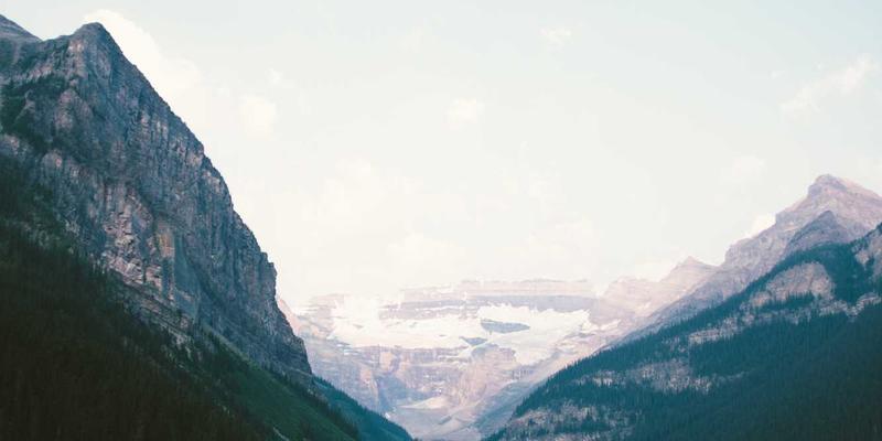 广州拍卖行:中国艺术品拍卖的岭南明珠与市场风向标