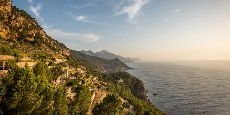 广州拍卖行洞察：古籍善本与手稿如何成为艺术品交易新蓝海