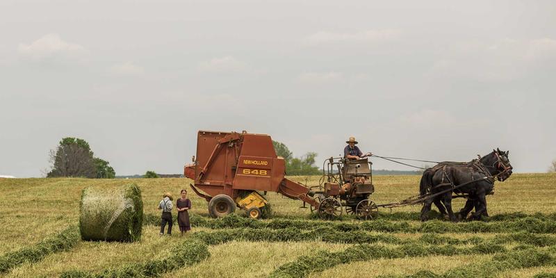 广州拍卖行洞察：当代水墨艺术市场崛起与新锐艺术家投资潜力分析