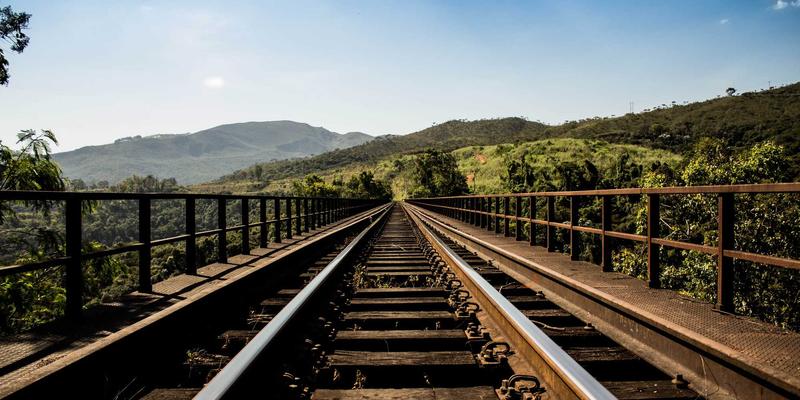 广州拍卖行聚焦：明清硬木家具与欧洲古董家具的材质、工艺与市场流通深度解析