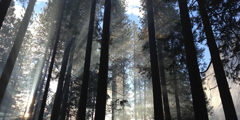 广州拍卖行:艺术投资与收藏品价值挖掘的专业指南