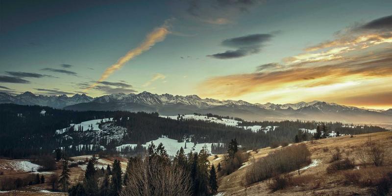 广州拍卖行：艺术投资与收藏品市场的财富新航道