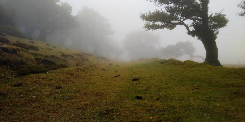 广州拍卖行艺术投资指南：揭秘珠宝翡翠从矿源到拍卖的价值评估体系