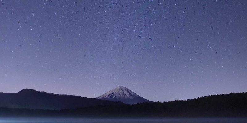 艺术品拍卖48：洞察中国艺术品收藏与交易的新浪潮