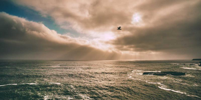 艺术品拍卖50年：中国艺术品投资热潮下的鉴定智慧与市场变革