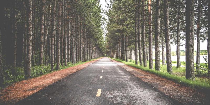 艺术品拍卖66：揭秘收藏品投资与古董鉴定的财富密码