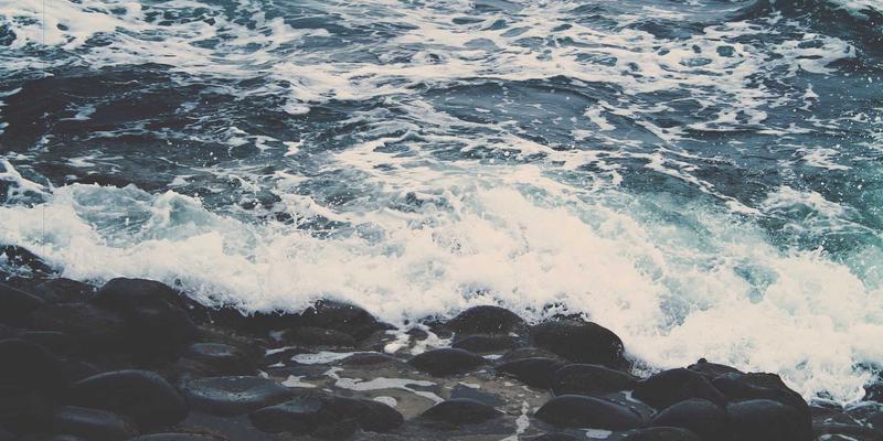 艺术品拍卖77：揭秘收藏品市场趋势与古董鉴定要诀