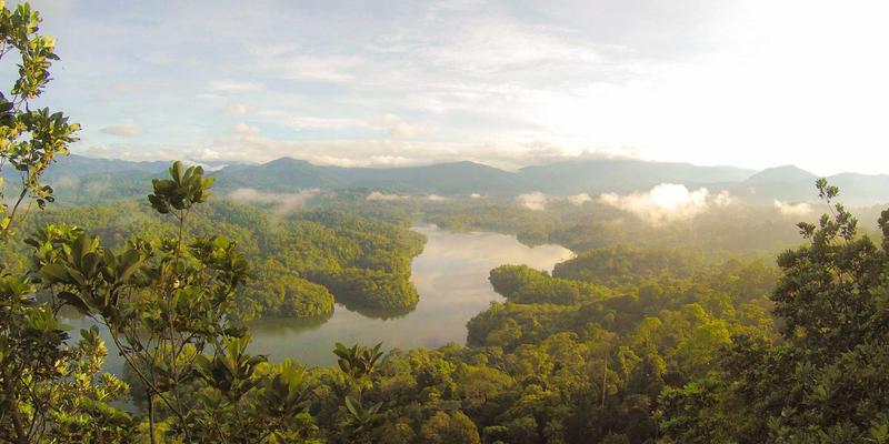 艺术品拍卖87:解码当代艺术投资趋势与古董鉴定要诀