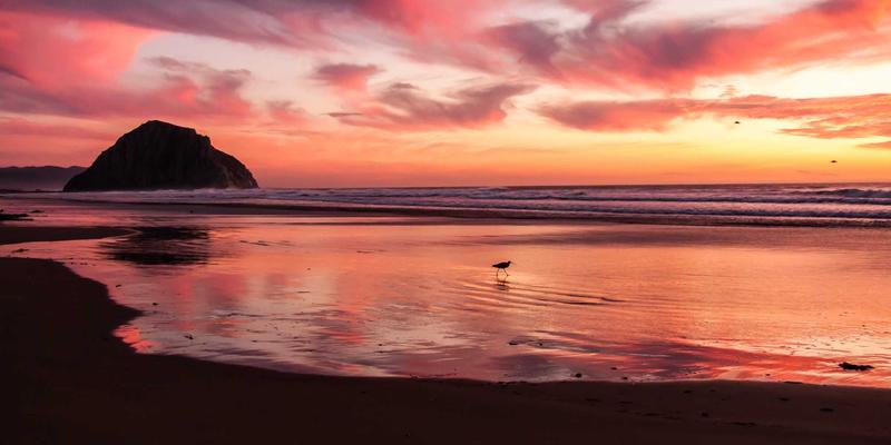 艺术品拍卖新浪潮：古董鉴定、艺术投资与市场机遇深度解析