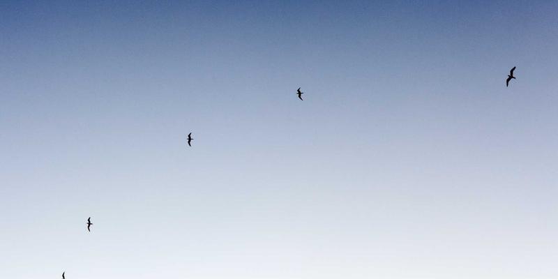 艺术品拍卖新焦点：从古董怀表到现代腕表的收藏投资逻辑解析