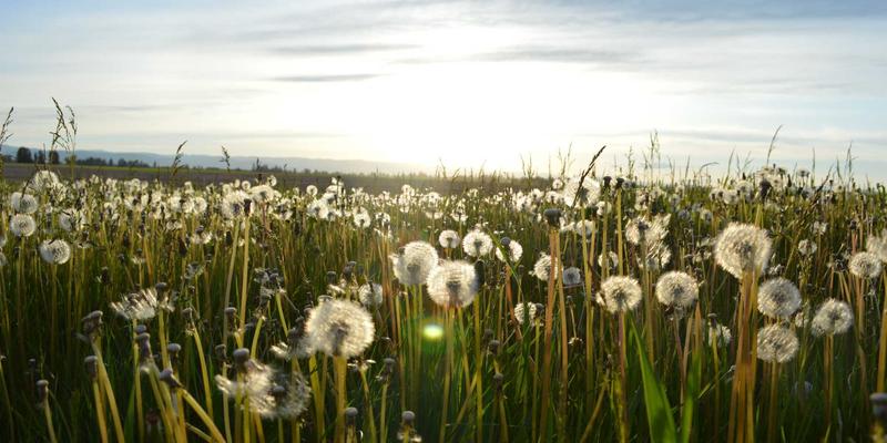 艺术品拍卖进阶指南：从藏家到行家的关键跨越