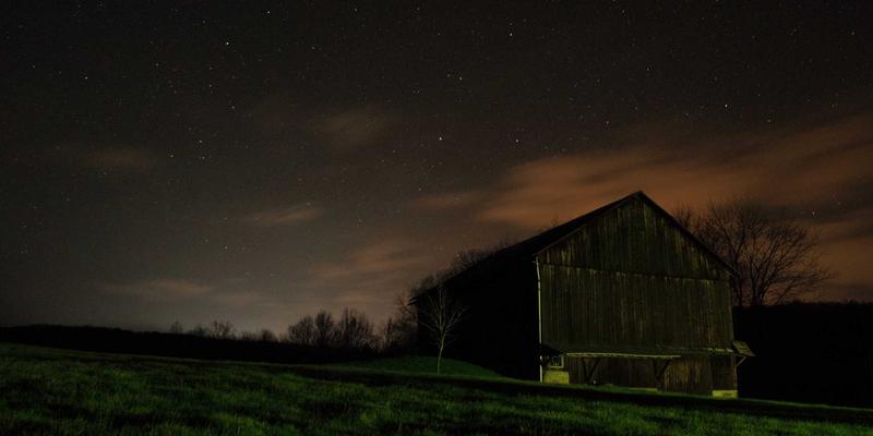 艺术投资新焦点：明清官窑与民窑精品的市场分化与收藏策略