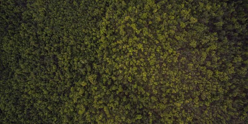 艺术投资新纪元：线上拍卖平台如何重塑收藏品与艺术品拍卖格局