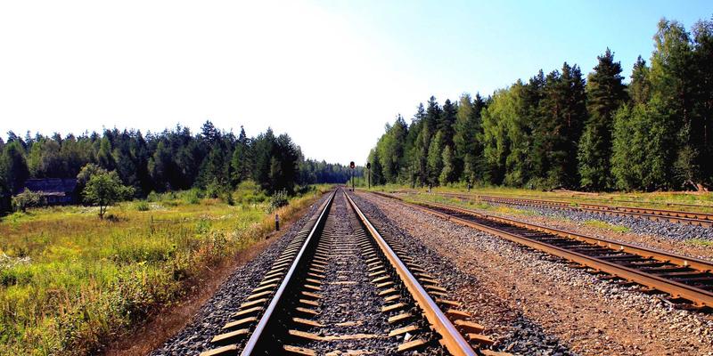 艺术投资新蓝海：古籍善本拍卖中的版本学应用与价值发现